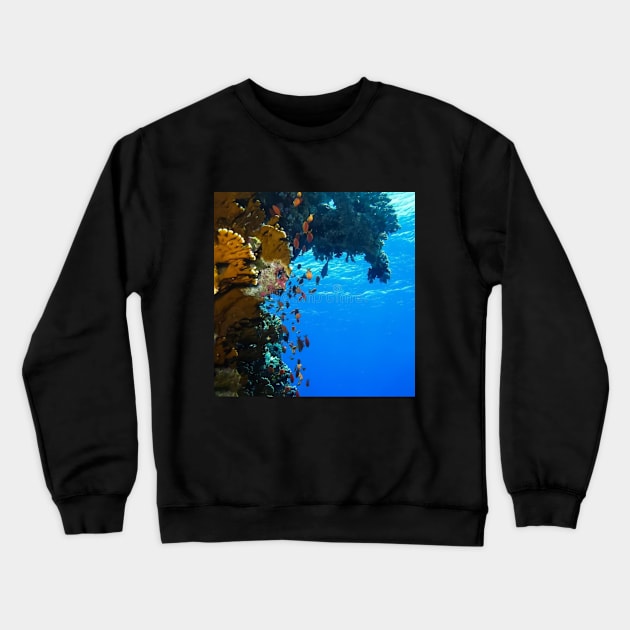 deep sea Crewneck Sweatshirt by Naspun store